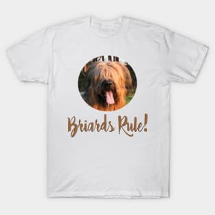 Briards Rule! T-Shirt